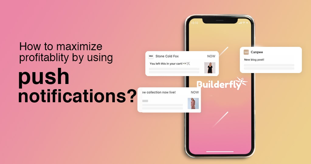 How to Maximize Profitability by Using Push Notifications?